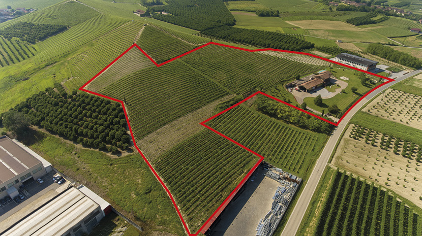 Raffaele Gili Vini - Azienda
